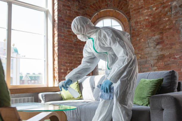 Best Mold Odor Removal Services  in South Amherst, OH