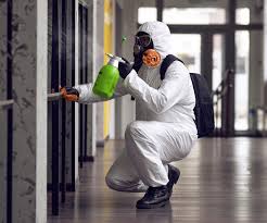 Best Residential Mold Inspection & Testing  in South Amherst, OH